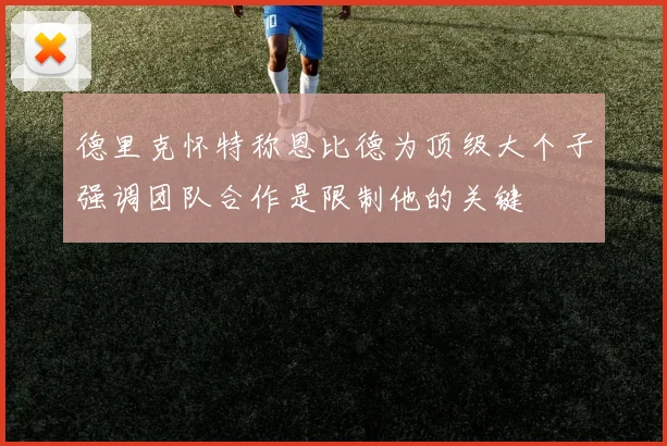 德里克怀特称恩比德为顶级大个子强调团队合作是限制他的关键