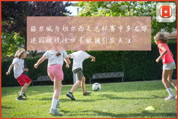 赫尔城与切尔西足总杯赛中多名球迷因歧视性口号被捕引发关注